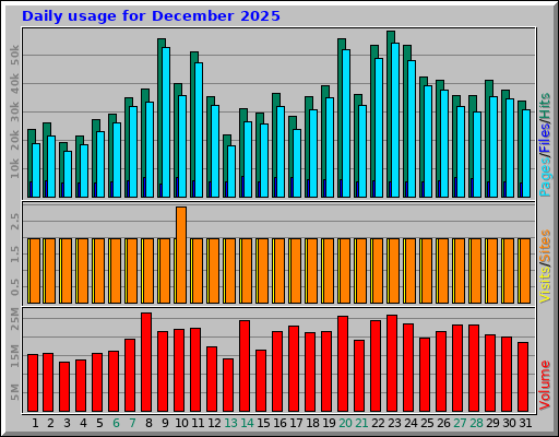 Daily usage for December 2025