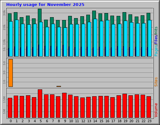 Hourly usage for November 2025